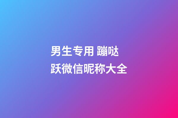 男生专用 蹦哒跃微信昵称大全